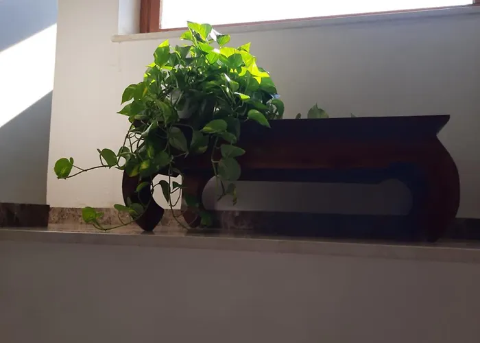 La Maison Verte Affittacamere Formia